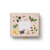 Caja con 8 tarjetas postales de Agradecimiento - Curio- Rifle Paper Co