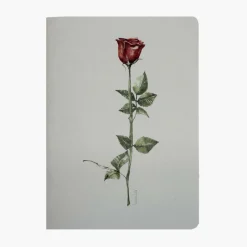 Libreta Sant Jordi