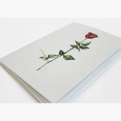 Libreta Sant Jordi