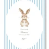 Lámina bautizo personalizable Bienvenida Rayas Animales.Tamaño A5.