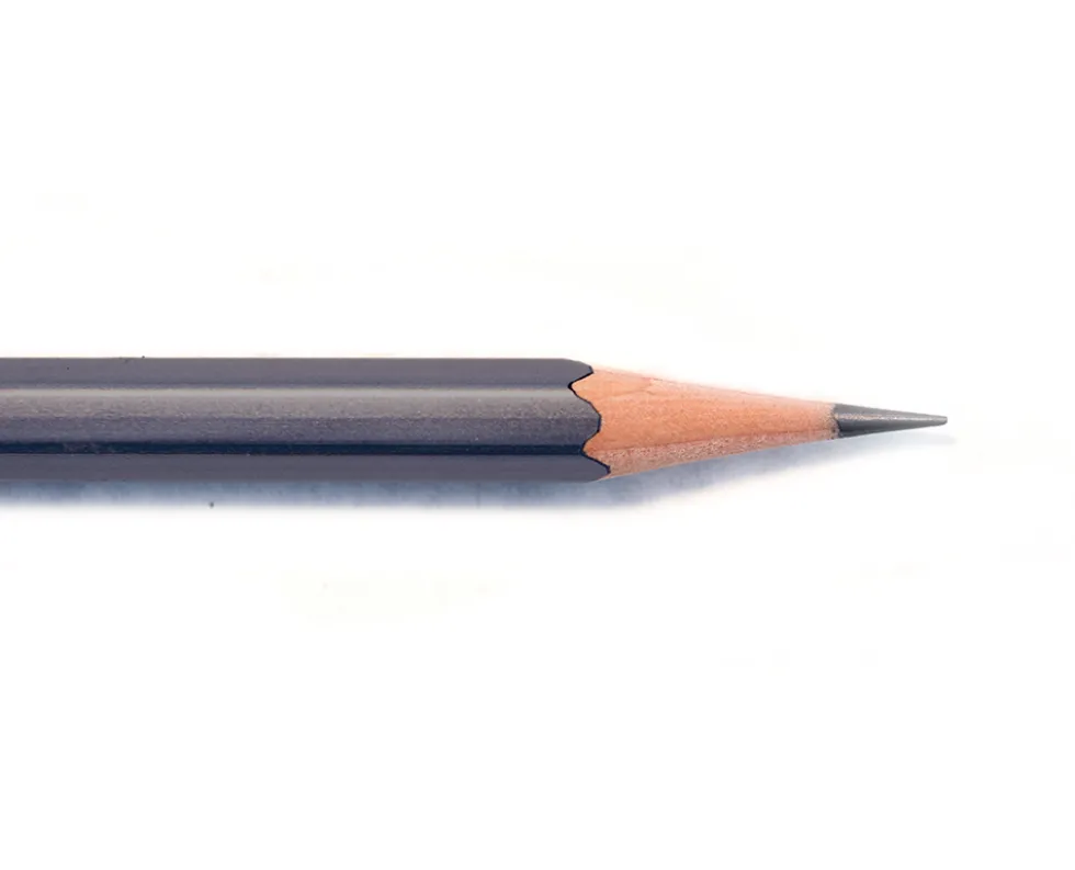 Lápiz Palomino Blackwing