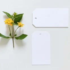 Pack 6 etiquetas 60x113