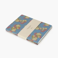 Pack 3 libretas cosidas Frambuesas 25x19cm - Pepa Paper