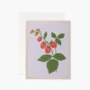 Tarjeta Postal Frambuesas - Raspberry - Rifle Paper Co