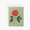 Tarjeta Postal Rosa Escarlata - Scarlet Rose - Rifle Paper Co